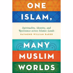 ISBN One Islam Many Muslim Worlds ( Spirituality Identity and Resistance across Islamic lands ), Raymond William Baker, 392 p ...