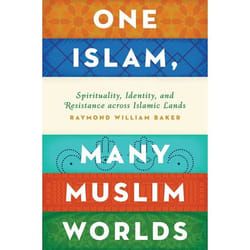 One Islam, Many Muslim Worlds: Spirituality, Identity, And Resistance Across Islamic Lands (Religion And Global Politics) (Hardcover)