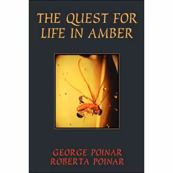 ISBN The Quest For Life In Amber, Science & nature, Anglais, Livre broché, 240 pages