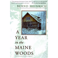 ISBN A Year In The Maine Woods, histoire, Anglais, Livre broché, 272 pages