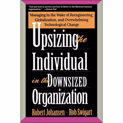ISBN Upsizing The Individual In The Downsized Corporation, Business & finance, Anglais, Livre broché, 224 pages