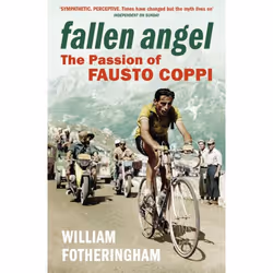 ISBN Fallen Angel, Anglais, Livre broché, 320 pages