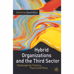 ISBN Hybrid Organizations and the Third Sector, Anglais, Livre broché, 256 pages