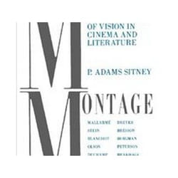 ISBN Modernist Montage : The Obscurity of Vision in Cinema and Literature livre Pellicule Anglais