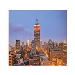 ISBN New York City : DK Eyewitness Travel Guide livre Voyage Anglais