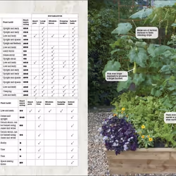 ISBN Grow All You Can Eat In Three Square Feet livre maison & jardin Anglais Couverture rigide