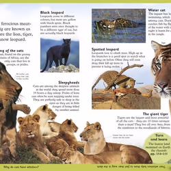 ISBN First Animal Encyclopedia livre enfants & adolescents Anglais