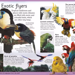 ISBN First Animal Encyclopedia livre enfants & adolescents Anglais