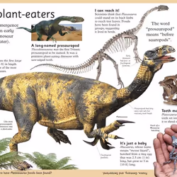 ISBN First Dinosaur Encyclopedia livre Dinosaures Anglais