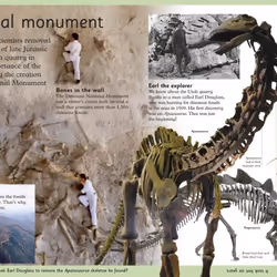 ISBN First Dinosaur Encyclopedia livre Dinosaures Anglais