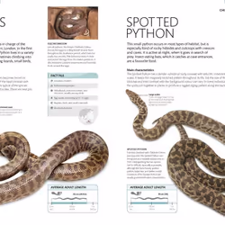 ISBN Snake livre Education Anglais