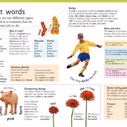 ISBN First Children's Dictionary livre référence & langage Anglais