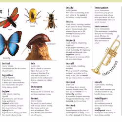 ISBN First Children's Dictionary livre référence & langage Anglais