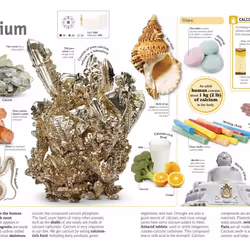 ISBN The Periodic Table Book livre référence & langage Anglais Couverture rigide
