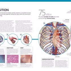 ISBN The Complete Human Body livre Education Anglais Couverture rigide