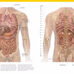 ISBN The Complete Human Body livre Education Anglais Couverture rigide