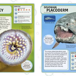 ISBN Sharks and Other Deadly Ocean Creatures livre enfants & adolescents Anglais Couverture rigide