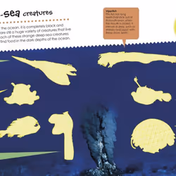 ISBN Ocean Ultimate Sticker Book livre Education Anglais