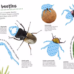 ISBN Bugs Ultimate Sticker Book livre enfants & adolescents Anglais