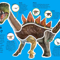 ISBN DKfindout! Dinosaurs livre Dinosaures Anglais