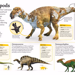 ISBN DKfindout! Dinosaurs livre Dinosaures Anglais