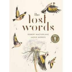 ISBN The Lost Words livre fiction litéraire Anglais