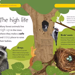 ISBN Forest Life and Woodland Creatures livre enfants & adolescents Anglais Couverture rigide