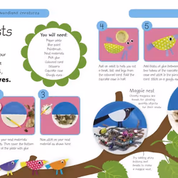 ISBN Forest Life and Woodland Creatures livre enfants & adolescents Anglais Couverture rigide