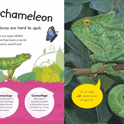 ISBN The Incredible Fold-Out Book of Animals livre enfants & adolescents Anglais Couverture rigide