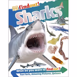 ISBN DKfindout! Sharks, enfants & adolescents, Anglais, Livre broché, 64 pages