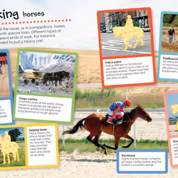 ISBN Horses and Ponies Ultimate Sticker Book livre enfants & adolescents Anglais