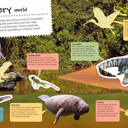 ISBN Jungle Ultimate Sticker Book livre Education Anglais