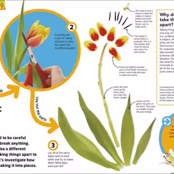 ISBN How to Be a Scientist livre Science & nature Anglais Couverture rigide