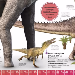 ISBN Dinosaur A to Z livre Dinosaures Anglais Couverture rigide