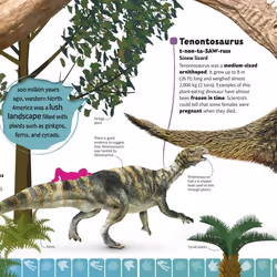 ISBN Dinosaur A to Z livre Dinosaures Anglais Couverture rigide