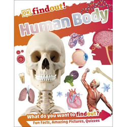 ISBN DKfindout! Human Body livre Biologie Anglais