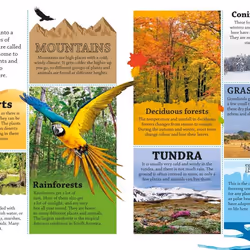 ISBN DKfindout! Earth livre Education Anglais