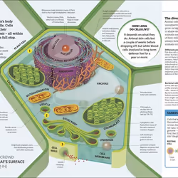ISBN How Science Works livre Science & nature Anglais Couverture rigide