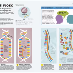 ISBN How Science Works livre Science & nature Anglais Couverture rigide