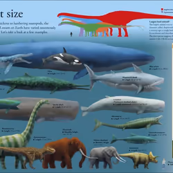 ISBN Dinosaurs A Children's Encyclopedia livre Dinosaures Anglais Couverture rigide
