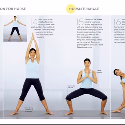 ISBN 15-Minute Gentle Yoga livre Santé, esprit et corps Anglais