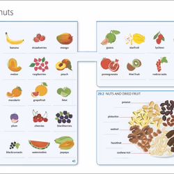 ISBN English for Everyone English Vocabulary Builder livre référence & langage Anglais