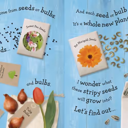 ISBN RHS I Can Grow A Sunflower livre Education Anglais Couverture rigide