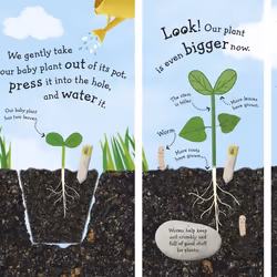 ISBN RHS I Can Grow A Sunflower livre Education Anglais Couverture rigide