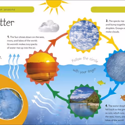 ISBN Weather and the Seasons livre Education Anglais Couverture rigide