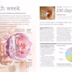 ISBN The Day-by-Day Pregnancy Book livre Santé, esprit et corps Anglais Couverture rigide