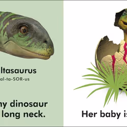 ISBN Baby Touch and Feel Baby Dinosaur livre enfants & adolescents Anglais Couverture rigide