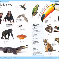 ISBN First Spanish Dictionary livre référence & langage Anglais