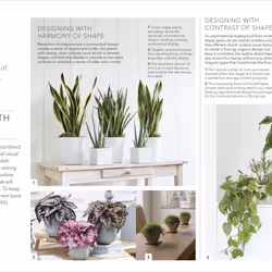 ISBN RHS Practical House Plant Book livre maison & jardin Anglais Couverture rigide