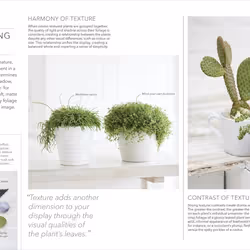 ISBN RHS Practical House Plant Book livre maison & jardin Anglais Couverture rigide